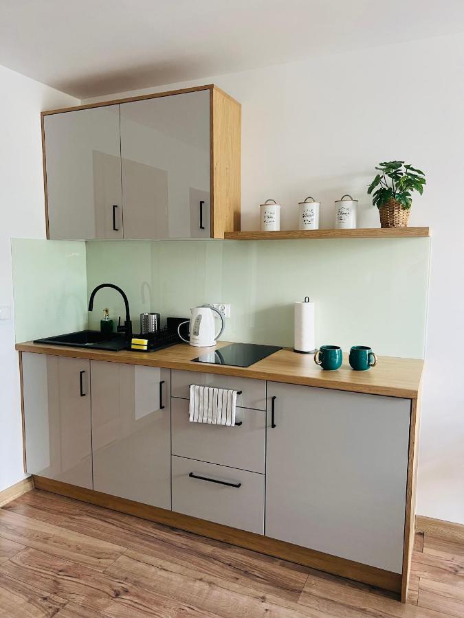 Mare E Monti Apartments Катовице Экстерьер фото